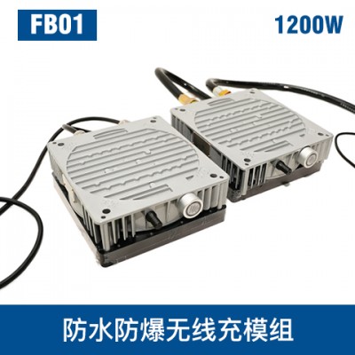 中惠創(chuàng)智 FB01 防爆 極低壓 大電流 